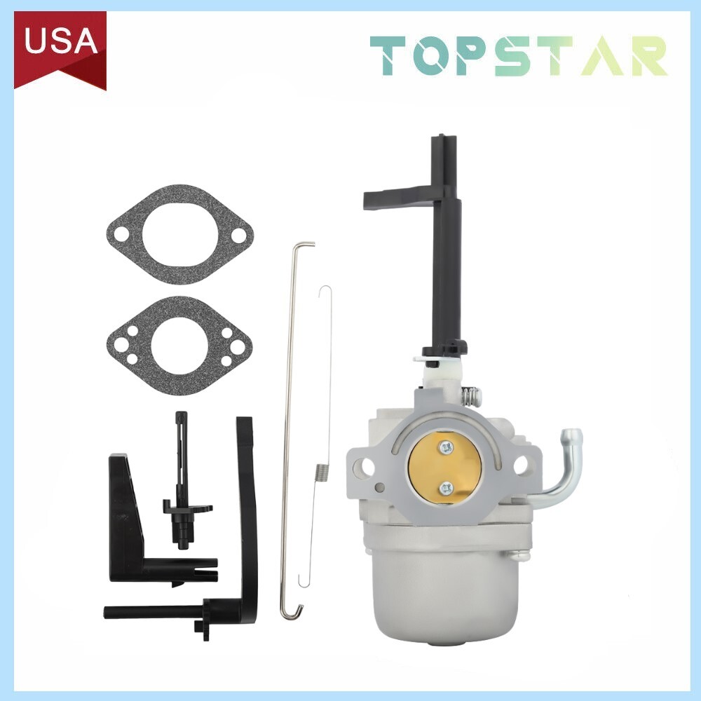 591378 Carburetor Generator Coleman Powermate 5000 6250 Watts 10HP