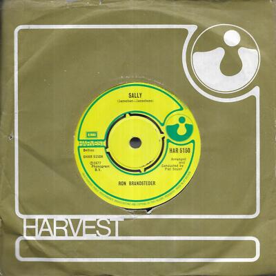 Ron Brandsteder Sally UK 45 7'' single +I Didn't Want To Leave You Far Behind
