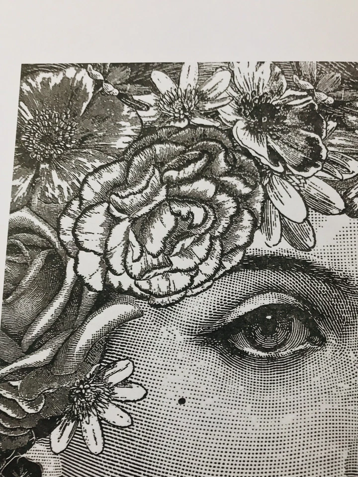 ЦВЕТОК леди надпись Эмо Рафиэль Астория и бесплатный Бэнкси STIK Мартин Уотсон подарок - Изображение 3 из 4