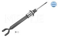 2X Meyle StoßDäMpfer 026 625 0011 FüR Mercedes Klasse W211 S211 Cls C219 Model