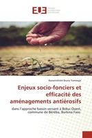 BaowindnéRé Bruno Yameogo | Enjeux Socio-Fonciers Et Efficacité Des...