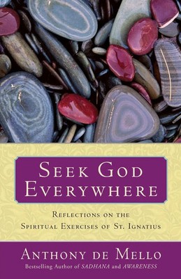 Seek God Everywhere | Reflections on the Spiritual Exercises of St. Ignatius