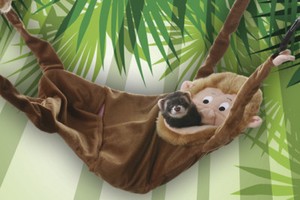 ferret snuggle sack