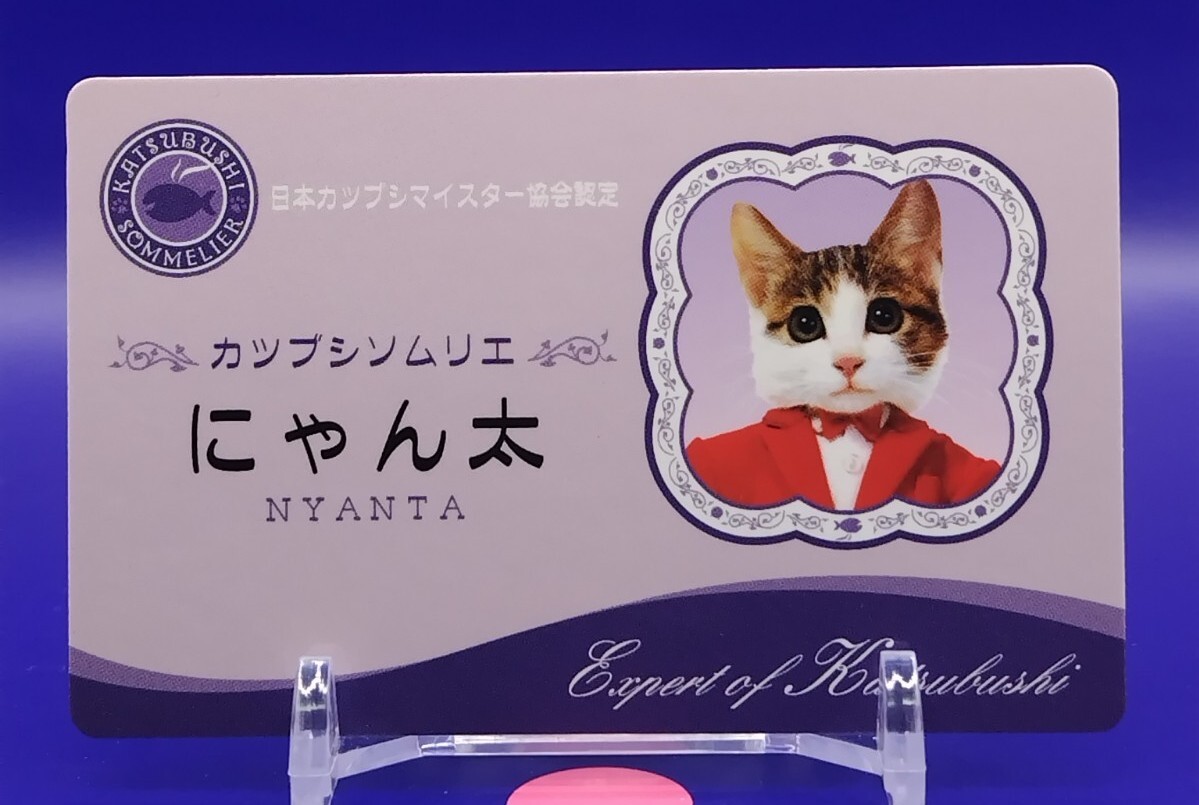 Tarjeta de Certificación de Sommelier Katsubushi Namennayo Gato Nameneko Rara Japonesa