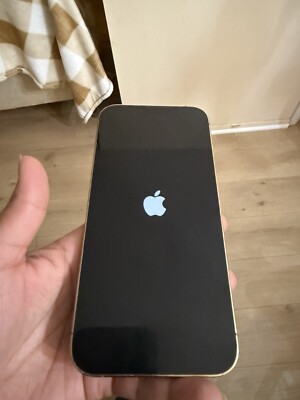iPhone 13ProMax 512gb TikTok Installed