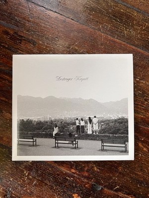 DESTROYER - Kaputt - CD - Sehr Gut