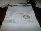 Foto 3 di 11
