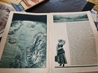 Photo 3/12
