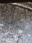 Bild 5 von 13