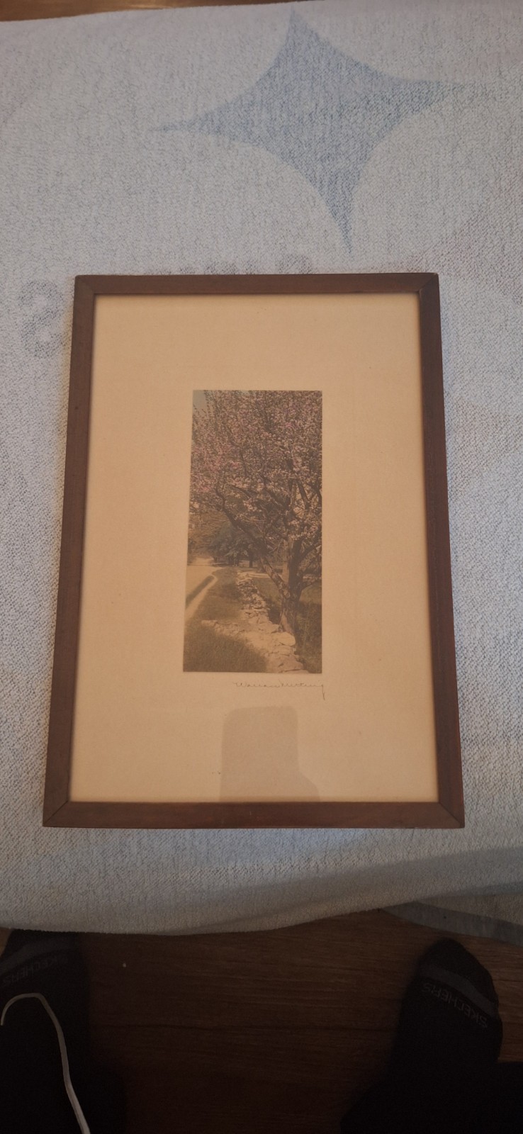 Wallace Nutting - signed - Tree in Blossom - Vintage colored print