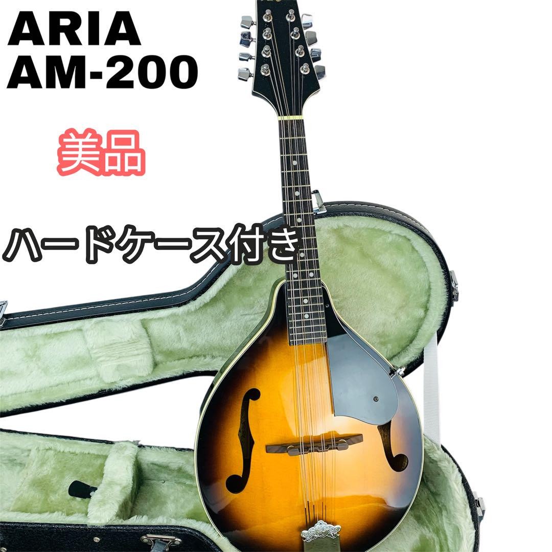 【希少・美品】Aria フラットマンドリン Am-200 BS ハードケース付き Japanese Mandolin Aria with Hard Case AM-200/BS | eBay