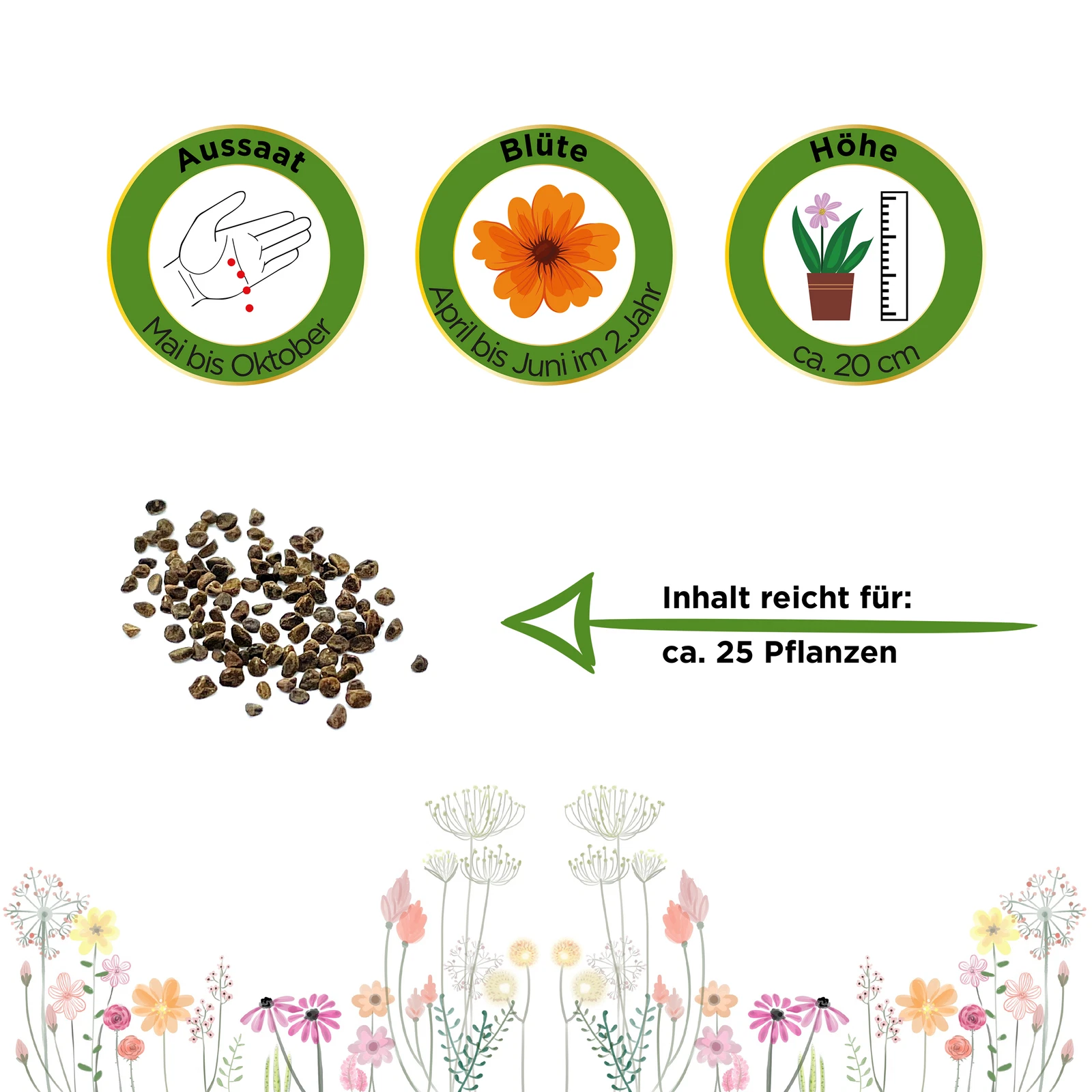 Bild 2 von 6