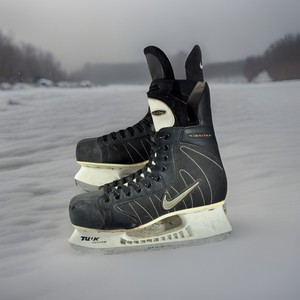 Nike Ignite Skates | eBay