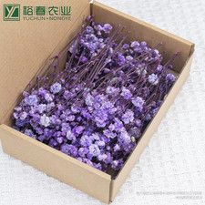 50Pcs Mini Dried Baby'S Breath Flowers for Resin Craft Diy Home Wedding Decor Re