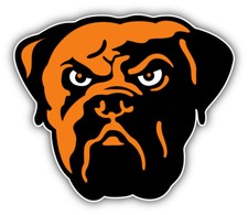 Cleveland Browns NFL Football Logo Sport Car Bumper Sticker Decal "SIZES"