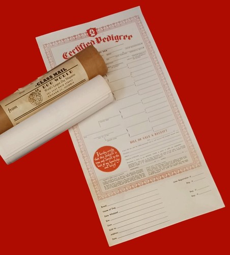 Vintage 1963 Dog World Magazine 6 Unused Pedigree Certificate In Original Mailer - 第 1/9 張圖片