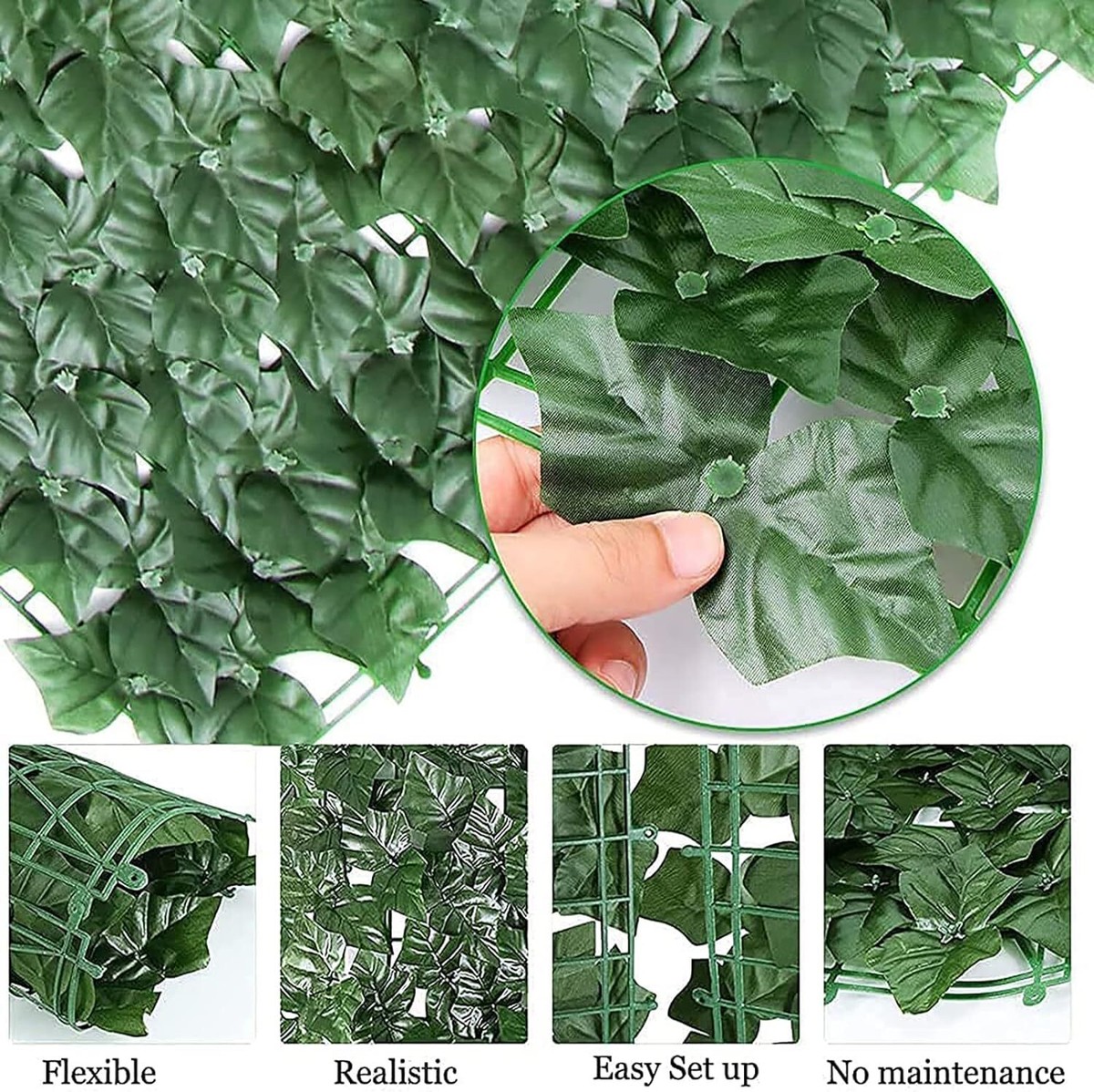 elefantenfuß kaufen 150 cm Beaucarnea Recurvata ⭥50cm – Elefantenfuß main image 0