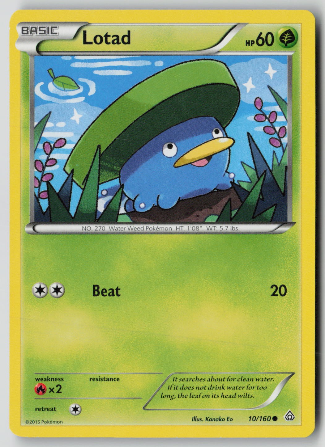 Lotad 10/160 Common Primal Clash Pokemon NM
