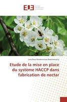 Lima Rose Nambinintsoa Rakotonirainy | Etude De La Mise En Place Du SystèMe...