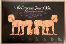 The Erogenous Zones Of Man 1973 Poster Minerva Copenhagen