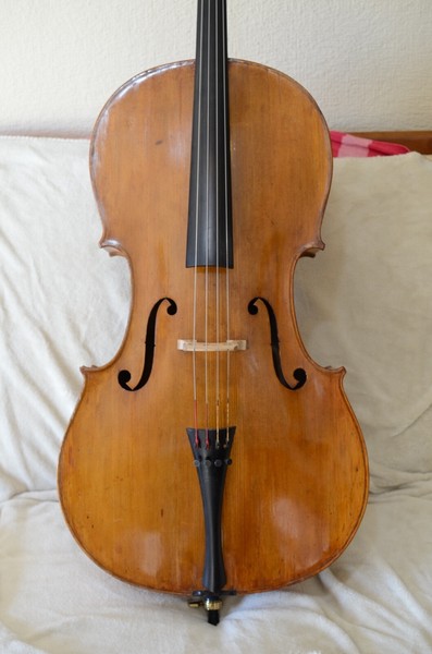Violoncello Guadanini 1810