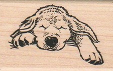 Sleeping Dog 1 1/2 x 2 1/4" Rubber Stamp, Animal Stamp, Dog Stamp