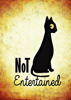 CAT *2X3 FRIDGE MAGNET* KITTEN FELINE FUN ILLUSTRATION PUSSY KITTY FUN TROUBLE 
