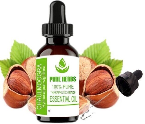 Pure herbs Chaulmoogra 100 % Pure & Natural Hydnocarpus Wightiana Essential Oil - Picture 2 of 30