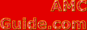 AMCGuide-com-Real-Estate-domain-name-Create-an-appraiser-lender-guide-website