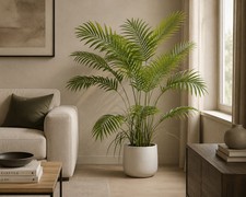 Moss & Sweetpea  Artificial Floor Standing Palm 135cm High Home Decor New