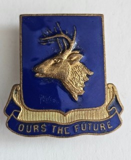 Original: WWII 396th Infantry DI/crest SB NHM Nicer Variation!