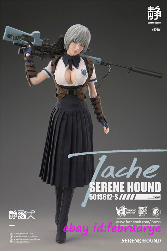 SERENE HOUND Tache 501S612-S 1/6 送料込み I8 Toys 1/6 501s612-S Tache Serene Hound Troop Figure Action