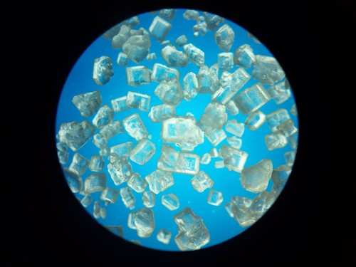 32mm Rheinberg Filters + Darkfield + POLARIZATION! Our Top End Package! - Picture 9 of 22
