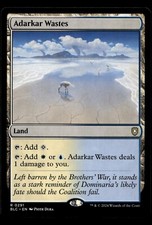 Adarkar Wastes #291 MTG Bloomburrow NM X1