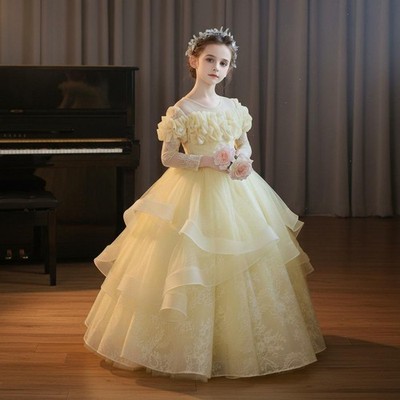 Full Sleeve Princess Dress Voluminous Skirt Full Sleeve Formal Gown