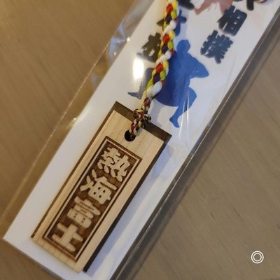 Sumo Wrestler Wooden Tag Netsuke Atami Fuji Mogomen Japan Association