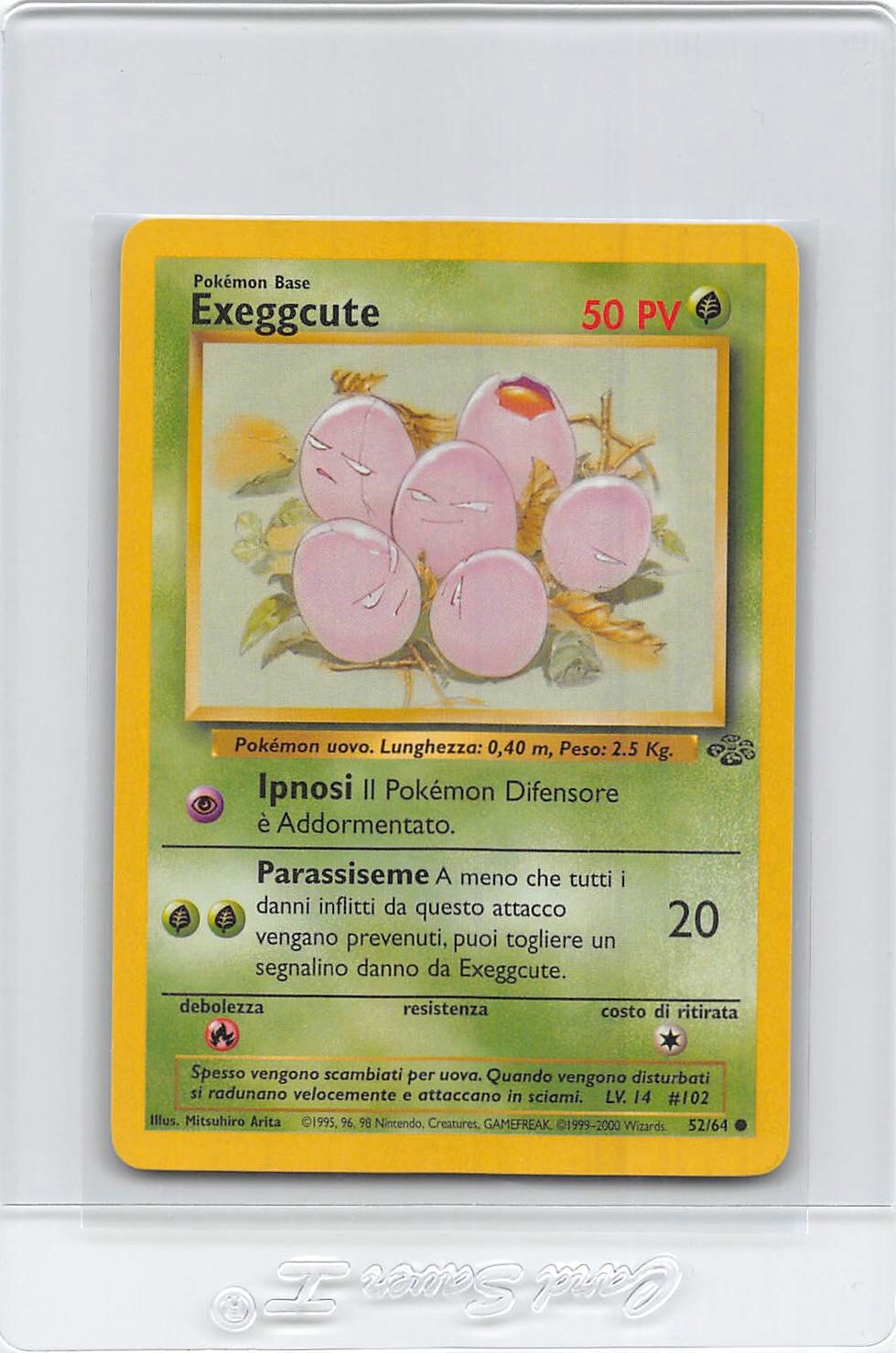 EXEGGCUTE 52/64 - ITALIAN - JUNGLE SET - Unlimited - VINTAGE POKEMON CARD - NM