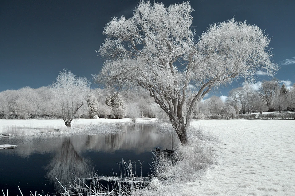 Nikon D90 Infrared converted 720nm Digital IR infrared Camera.Standard infrared - Image 3 of 4