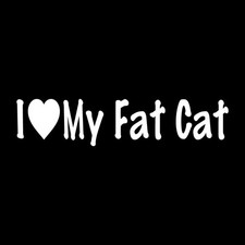 I Love My Fat Cat Decal Sticker White Die Cut Vinyl