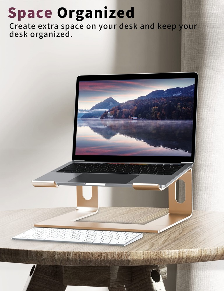 Aluminum Laptop Stand for Desk Ergonomic Detachable Notebook Riser Holder
