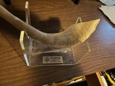 Vintage Jewish SHOFAR Horn Religious Instrument Estate Piece with holder