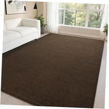 DweIke Modern Area Rugs for Living Room Bedroom, 4x6 Brown Thickened Memory 