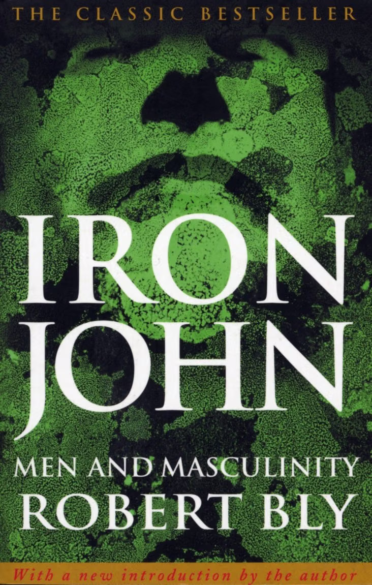 Iron John by Robert Bly PAPERBACK - Image 8