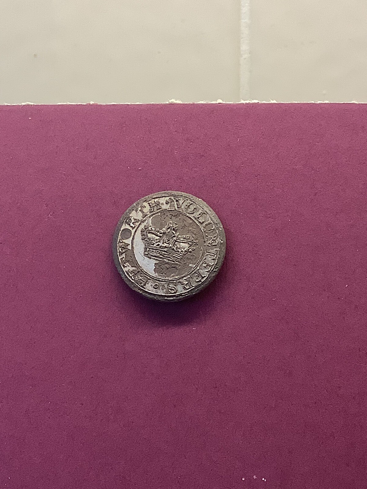 PETWORTH VOLUNTEERS REGIMENT SUSSEX MILITARY BUTTON. eBay