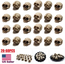 60Pcs Mini Skull Heads Figurines Skeleton Garden Ornament Halloween Decoration