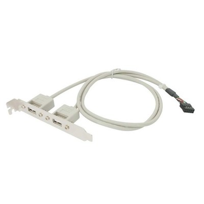 USB-A Dual External Port to Motherboard Port 24in 2x5 Pin Bracket Header Cable