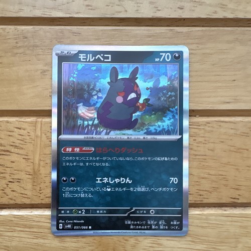 Nintendo Pokémon TCG Morpeko 051/066 Sv4k Ancient Roar Rev Holo JP 70HP