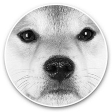 2 x Vinyl Stickers 7.5cm (bw) - Shiba Inu Akita Japanese Dog  #36094