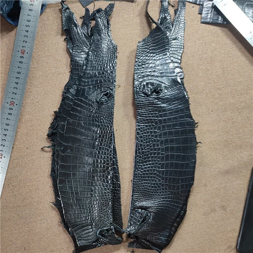 1X Real Alligator Skin Hide Genuine Crocodile Belly Leather Pelt Craft Material - Picture 3 of 10