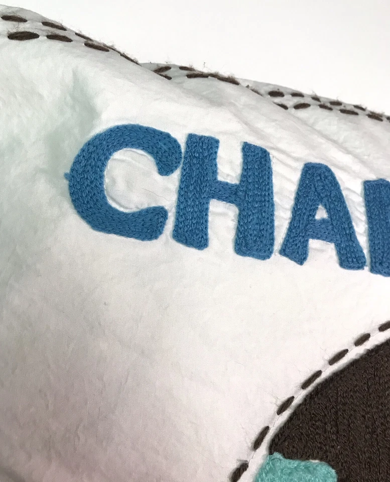 Funda de almohada y almohada Pottery Barn Teen Change The World Earth Throw Foto 4 de 4